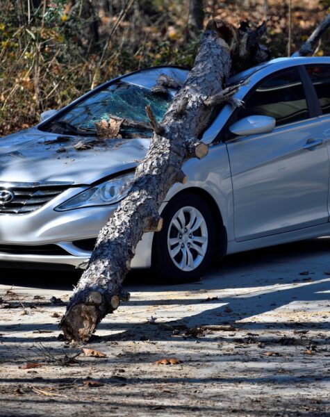 paulbr75-car-7627218_1920